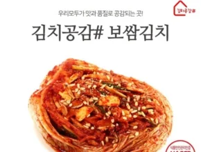 요즘 핫한 김치공감 품질 가격 최고 제품