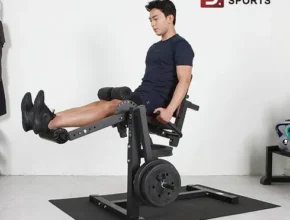 핫딜 레그컬 가성비 좋은 제품
