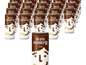 내돈내산 레쓰비 BEST 제품