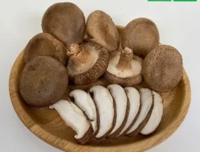 요즘 핫한 못난이 표고버섯 3kg 추천