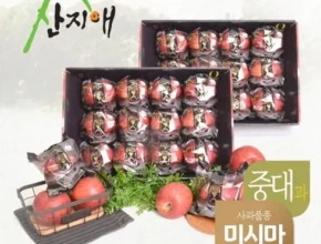요즘 뜨는 산지애 알뜰사과 6kg사과즙 6팩 베스트셀러