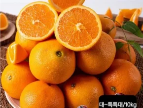 내돈내산 열매나무 캘리포니아 네이블 고당도 오렌지 7kg 만족도 최고 제품