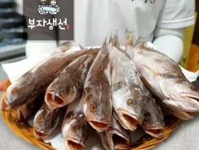 핫딜 자연산반건조민어 BEST 제품