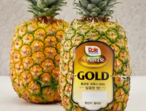 내돈내산 파인골드 핫 아이템