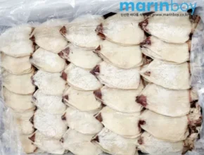 핫딜 한치 추천